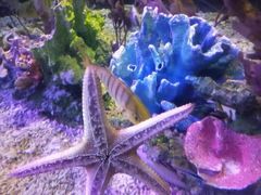 -太平洋海底世界