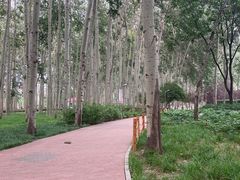 -仁和公园(顺义区)
