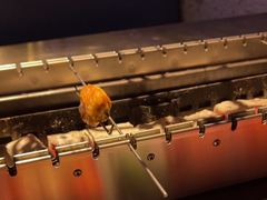 -诸锣记烤串·锦州烧烤(淘金店)