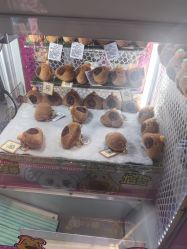 -卡通尼乐园(荟聚中心店)