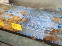 水产区-上味·小海小鲜(中联店)
