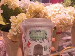 -KKV(上海月星环球港店)