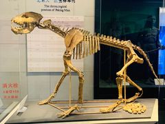 -北京周口店北京人遗址博物馆