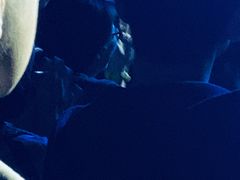 -香港会议展览中心演讲厅