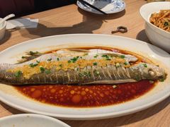 -连鹭海鲜·海肠捞饭·海胆饭(星海店)