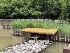 -荷塘味道(水长城店)