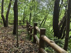 -上海佘山国家森林公园天马山园