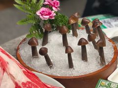 -禄婶鸡煲·打边炉