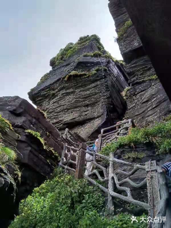 净心 净心 梵净山