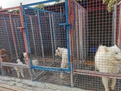 -萌宠亲子动物乐园(槐房万达店)