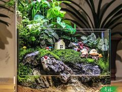 -桂林市花鸟市场