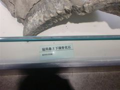 -中国第四纪冰川遗迹陈列馆