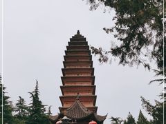 -洛阳白马寺