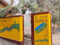 -长白岛森林公园