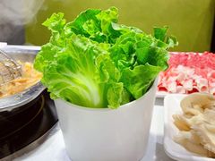 生菜-古乐牛香·鲜牛肉牛杂火锅(吴江三里桥运东商业广场店)