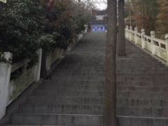 -石老人观光园