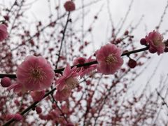 -南湖湿地公园
