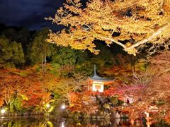 -醍醐寺