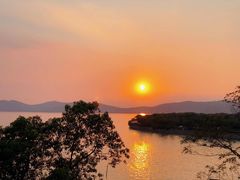 -上海市保健医疗中心