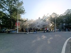 -同济大学(嘉定校区)
