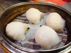 晶莹鲜虾饺-点点心点心专门店(旺角店)