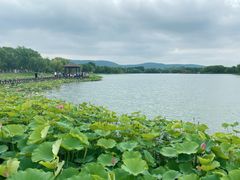 -锡笼记·无锡小笼(方塔店)