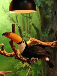 -Zoolung Zoolung动物主题公园(海信广场店)