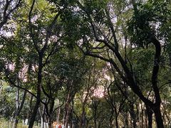 -燕晗山郊野公园