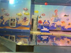 -太平洋海底世界