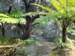 -Chom Cafe and Restaurant