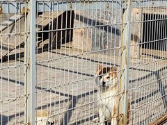 -清风小镇闯关东影视基地