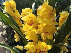 -国家植物园南园