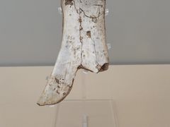 -上海博物馆