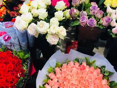 -大自然花鸟鱼虫市场