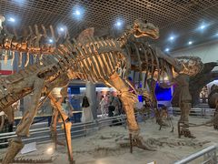 -国家自然博物馆