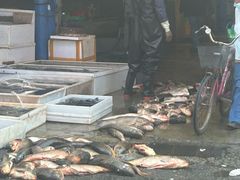 -岳各庄批发市场(西四环中路店)