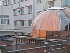 -羊门客在·烤盐池滩羊·川菜