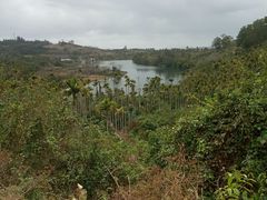 -海南热带雨林国家公园吊罗山景区