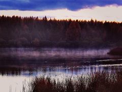 -塞罕坝国家级自然保护区