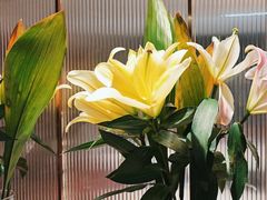 -鑫小城故事·藕汤·家常菜(台北一路总店)