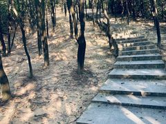 -火炉山森林公园