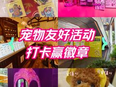 -瑞虹新天地月亮湾