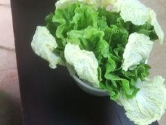 -墨脱石锅椰子鸡•香草鸭•东山羊(大东海店)