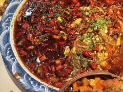 来凤鱼-新概念来凤鱼(璧山店)