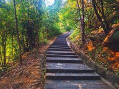 -广州白江湖森林公园