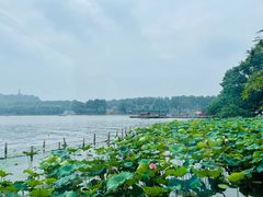 -湖畔居茶楼(湖滨店)