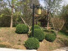 -武清南湖绿博园