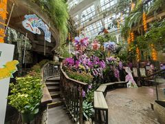 -正佳雨林生态植物园