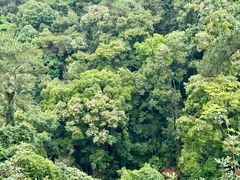 -白云山风景名胜区