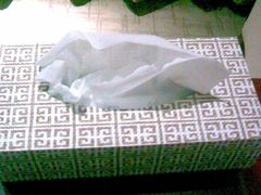 餐巾纸盒子-苏苑饭店-中餐厅(长桥地区店)